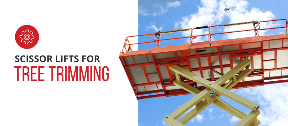 Scissor Lifts for Tree Trimming